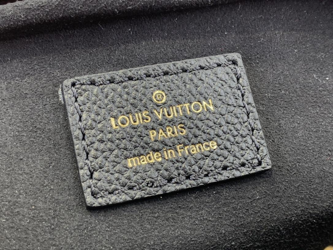 LOUIS VUITTON Mini Bumbag Black