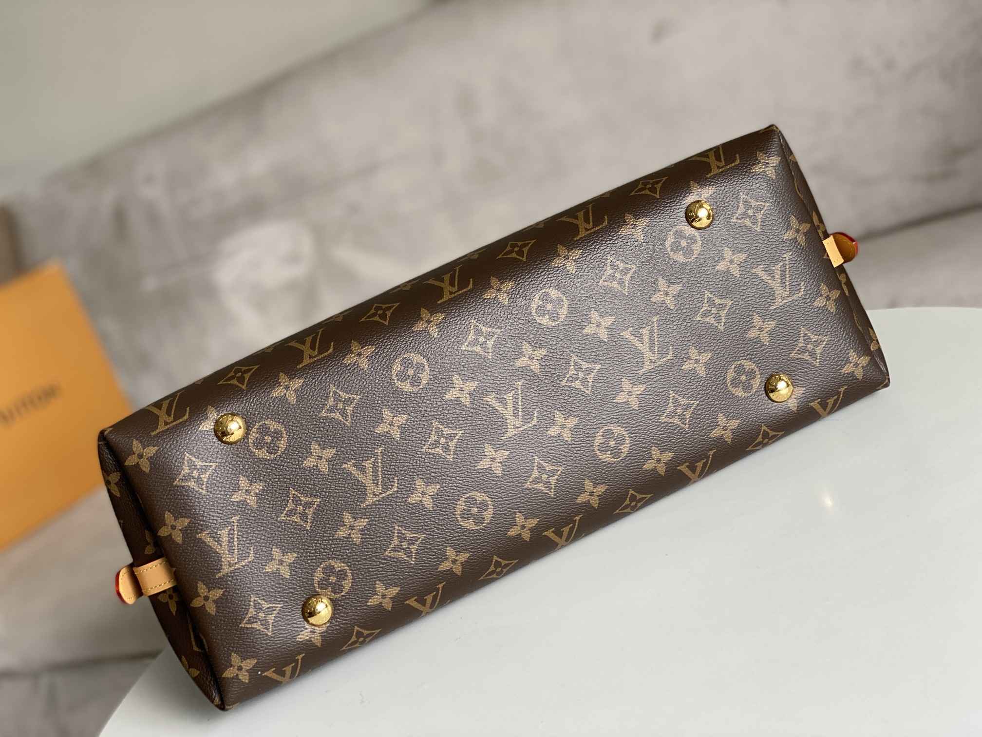 LOUIS VUITTON CarryAll MM Monogram