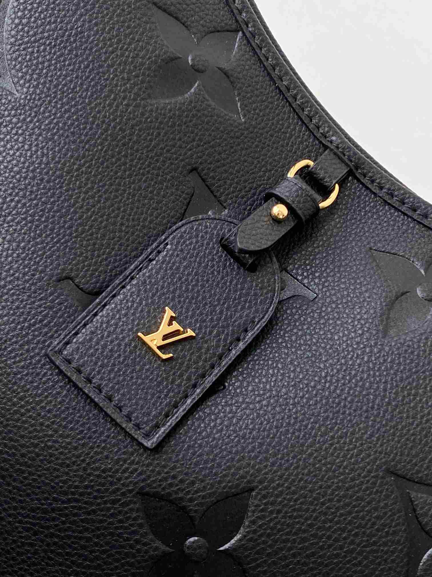 LOUIS VUITTON CarryAll MM Black