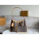 LOUIS VUITTON CarryAll PM Monogram