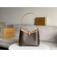 LOUIS VUITTON CarryAll PM Monogram