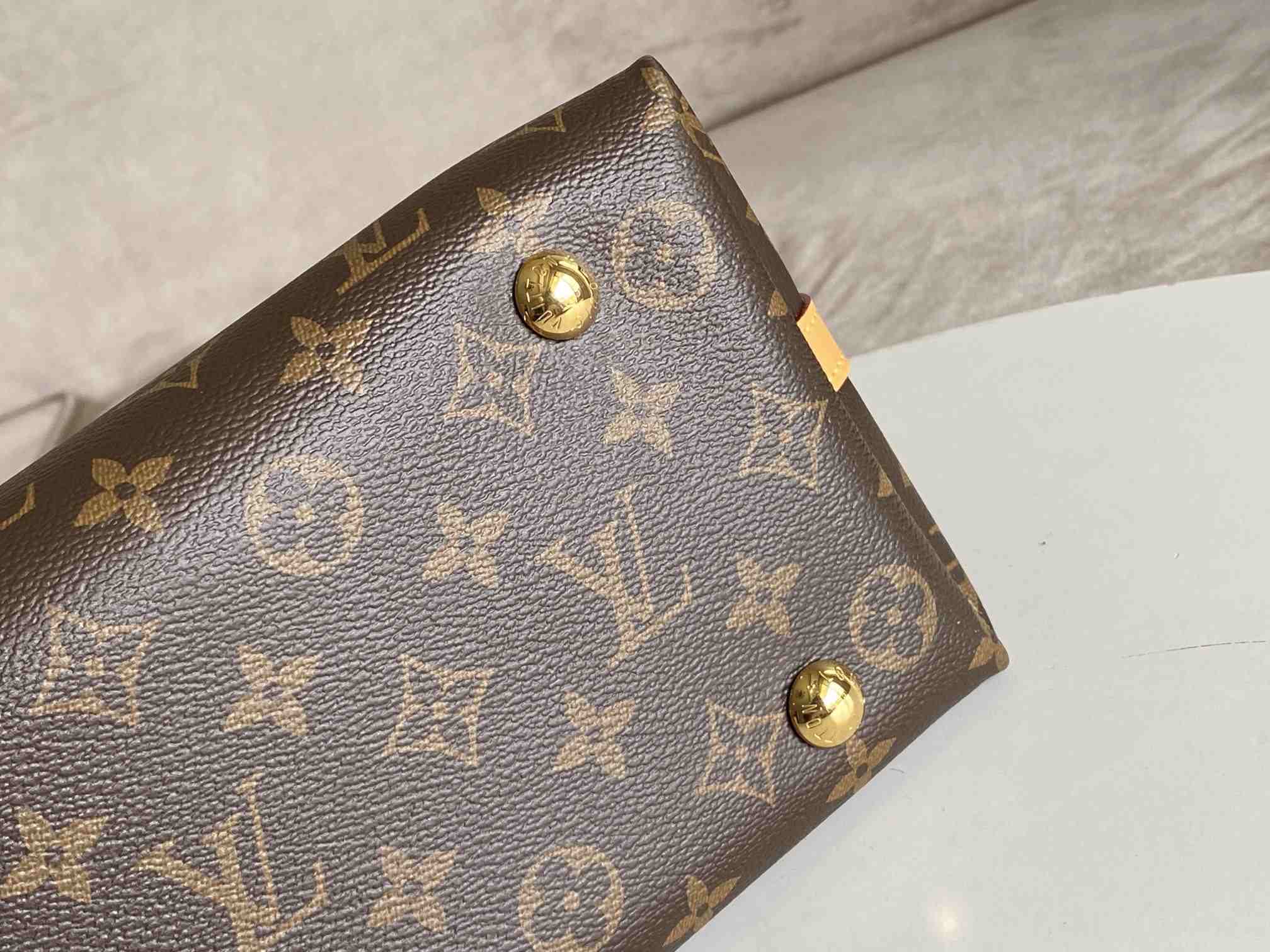 LOUIS VUITTON CarryAll PM Monogram