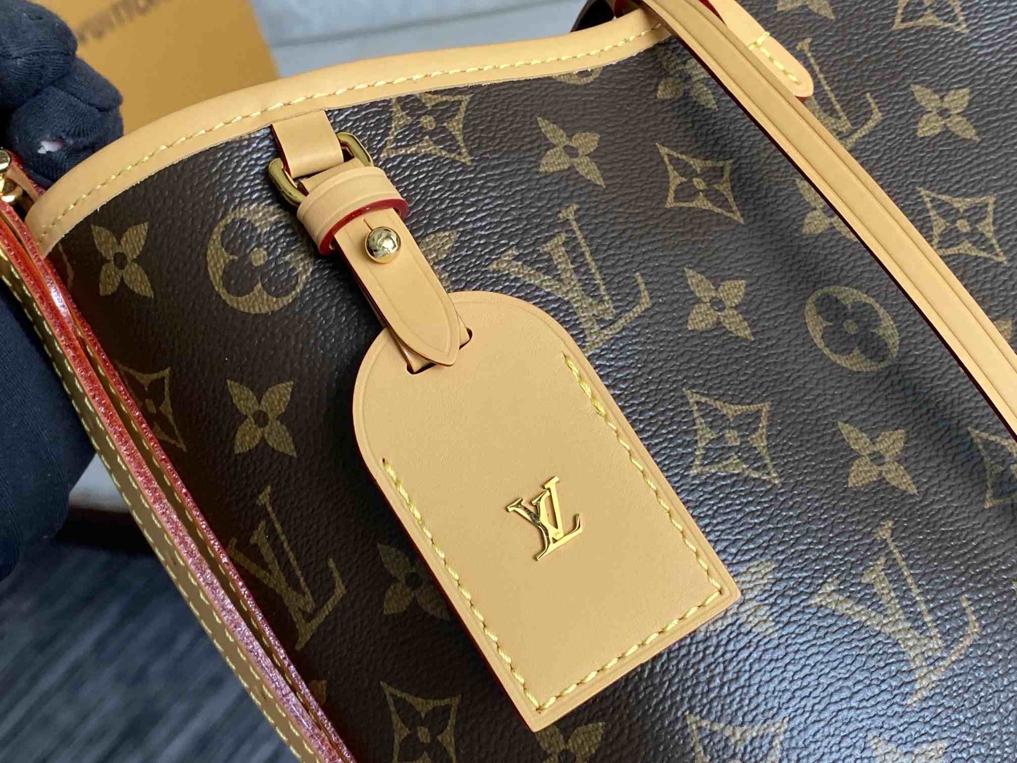 LOUIS VUITTON CarryAll PM Monogram