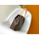 LOUIS VUITTON Graceful PM Hobo Bag Monogram