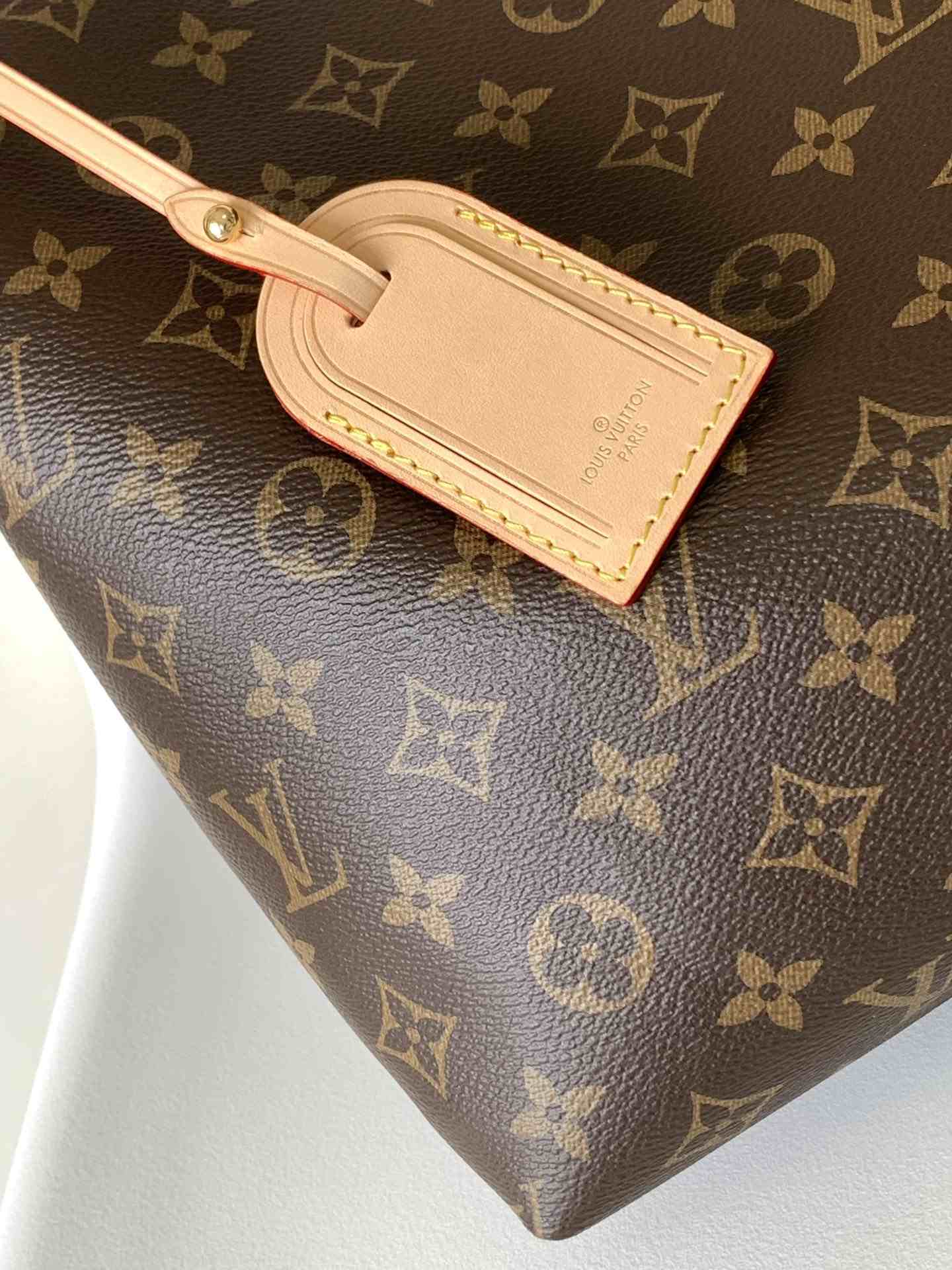 LOUIS VUITTON Graceful PM Hobo Bag Monogram