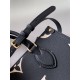 LOUIS VUITTON OnTheGo PM Tote Bag Black/Beige