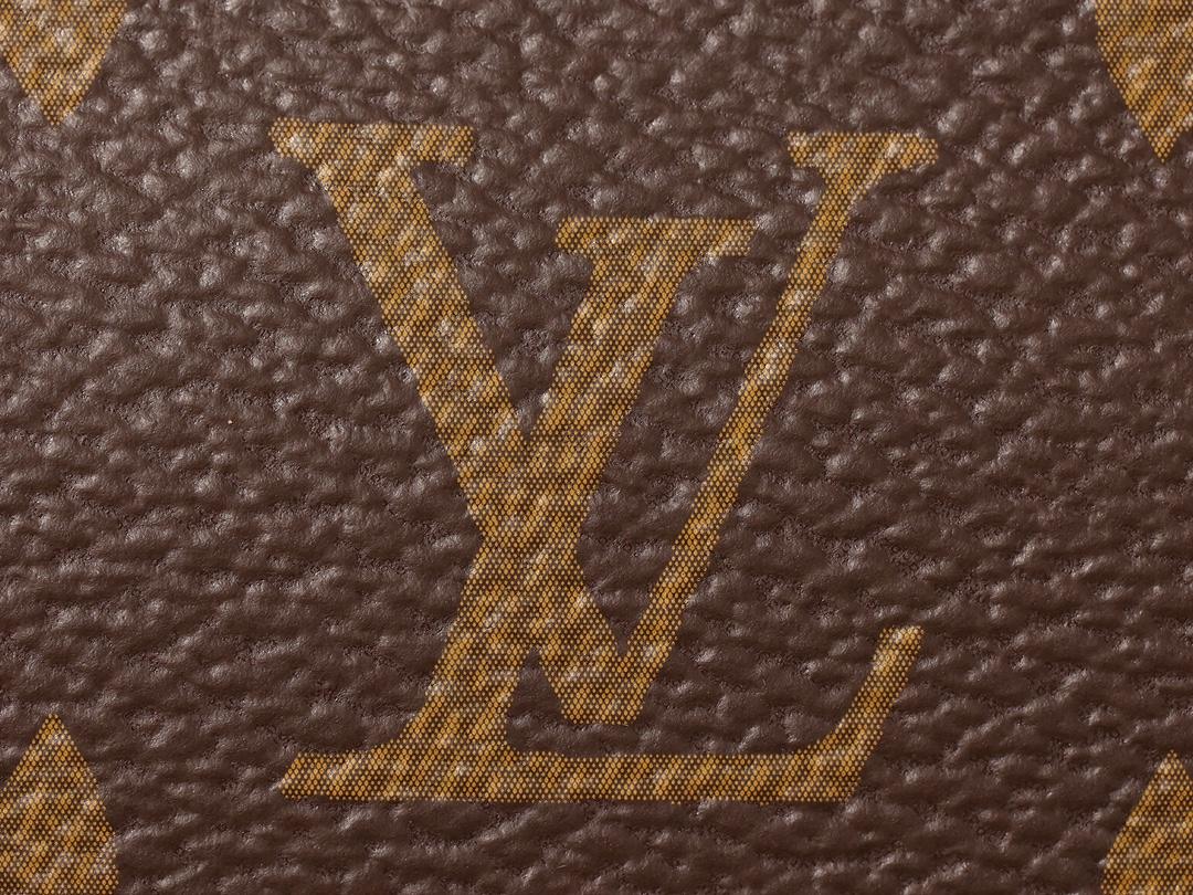 LOUIS VUITTON Pochette Accessoires Monogram