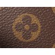 LOUIS VUITTON Pochette Accessoires Monogram