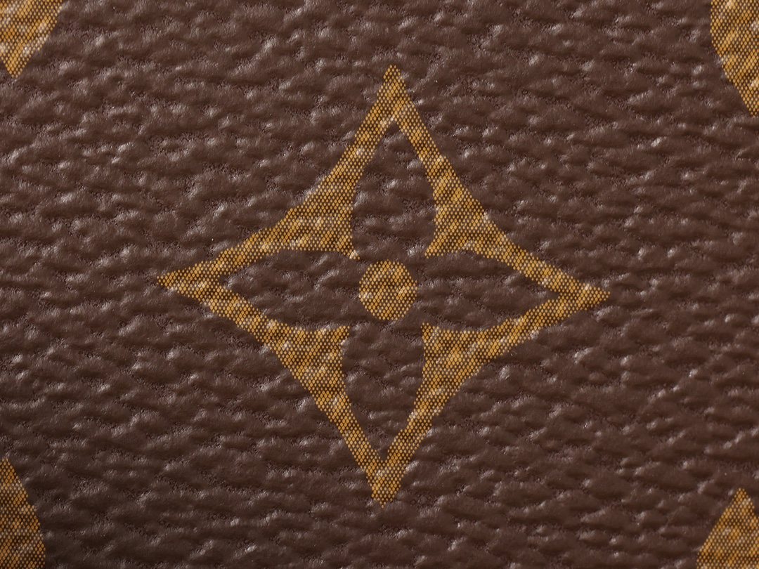 LOUIS VUITTON Pochette Accessoires Monogram