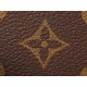 LOUIS VUITTON Pochette Accessoires Monogram