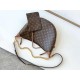 LOUIS VUITTON Loop Hobo Bag Monogram 