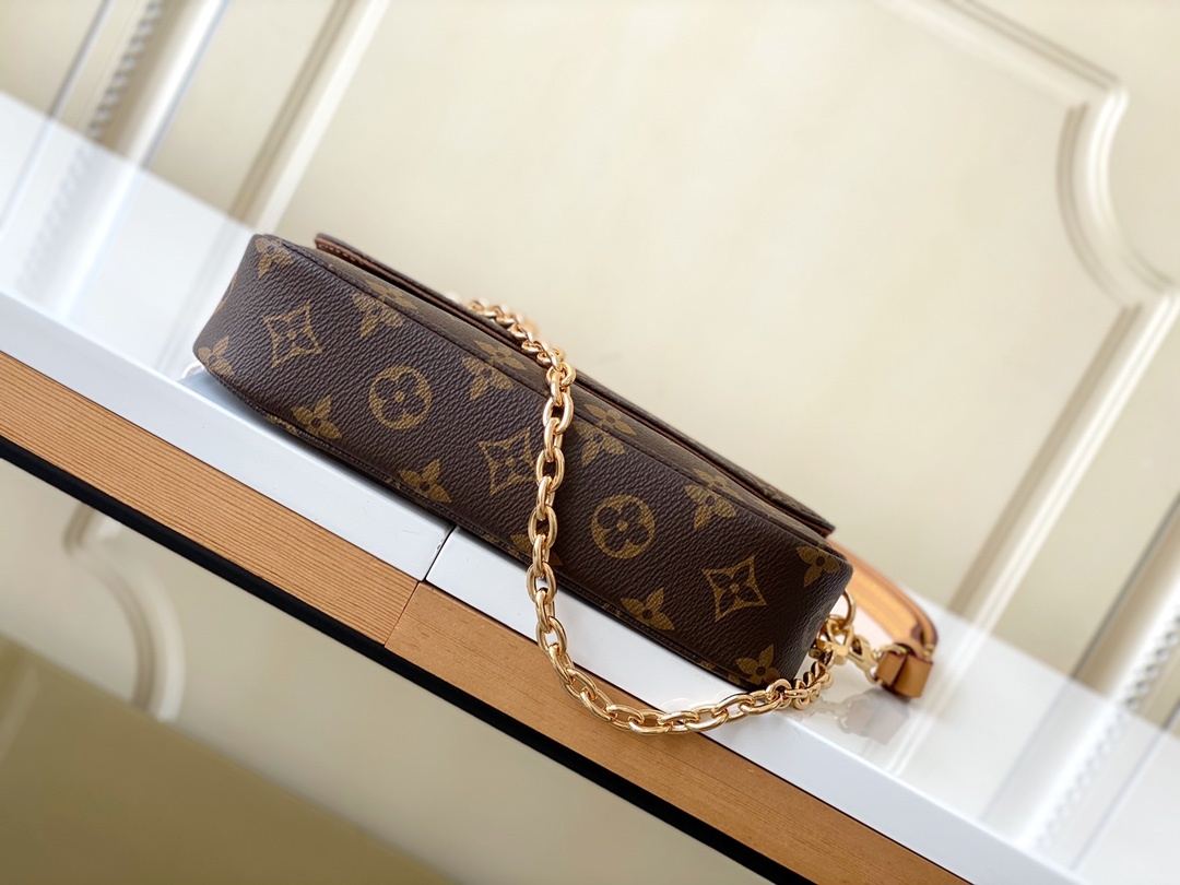 LOUIS VUITTON  Ivy Wallet on Chain Bag Monogram