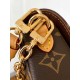 LOUIS VUITTON  Ivy Wallet on Chain Bag Monogram