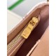 LOUIS VUITTON  Ivy Wallet on Chain Bag Monogram Dune coated canvas