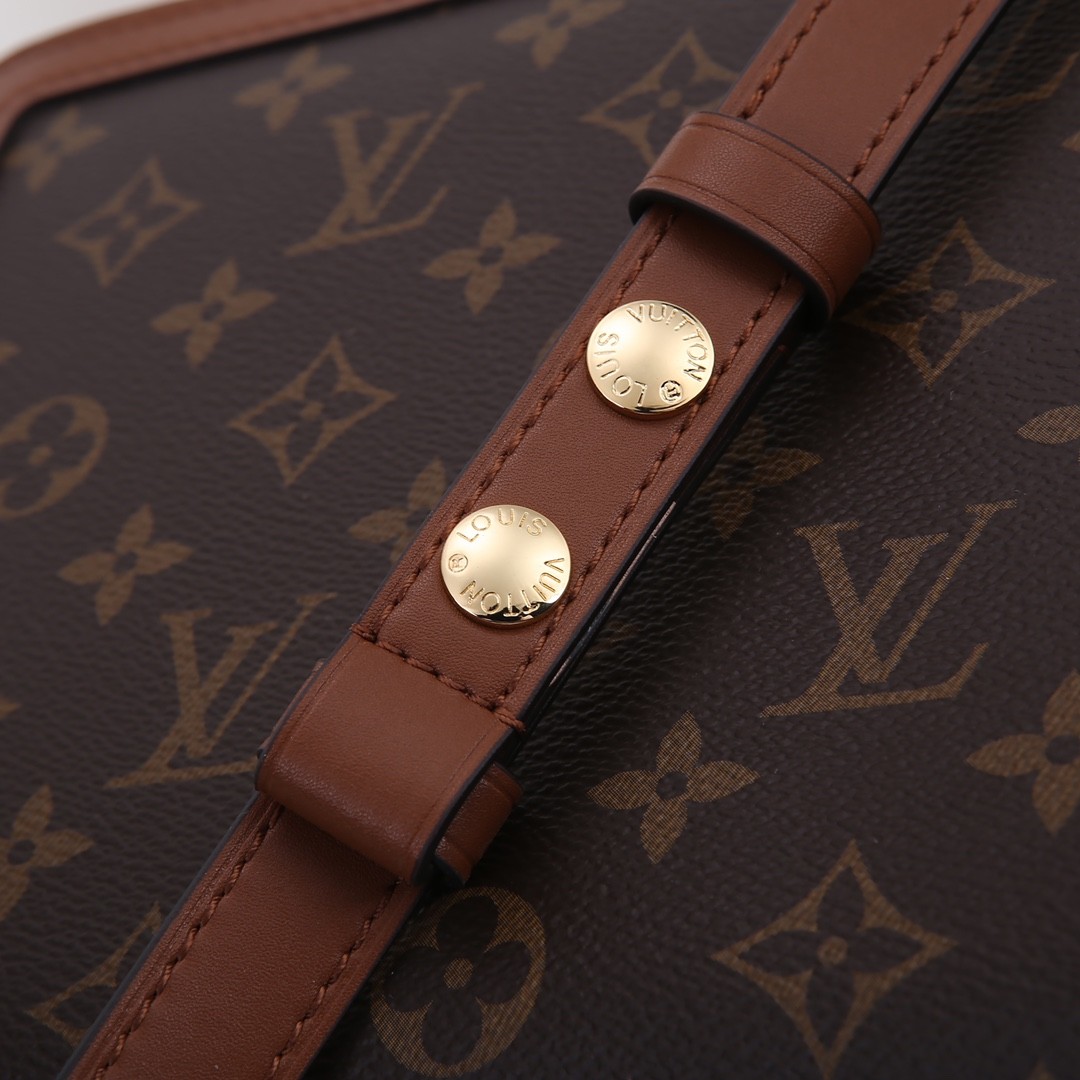 LOUIS VUITTON Dauphine MM Bag 