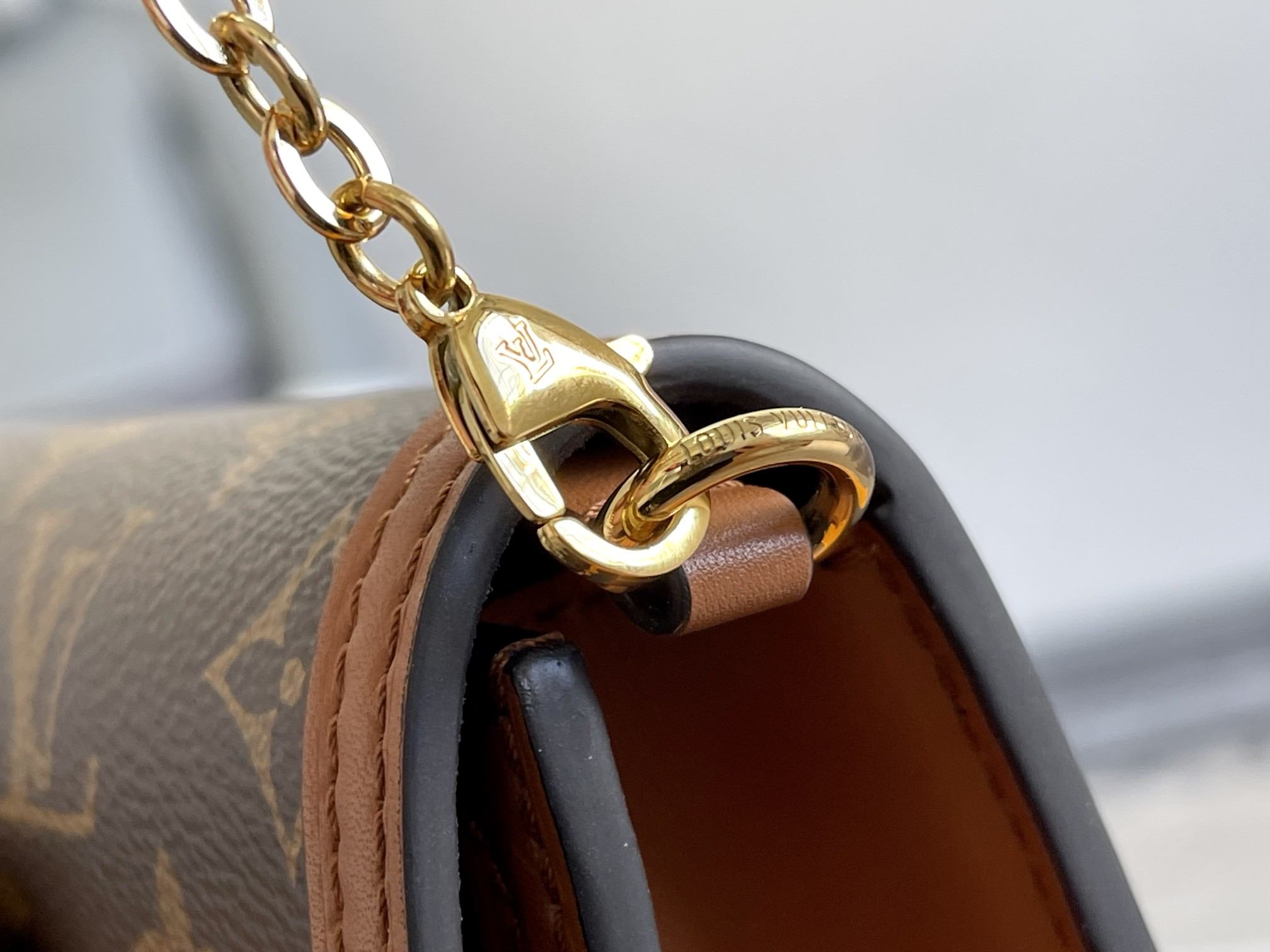 LOUIS VUITTON Dauphine East West Bag