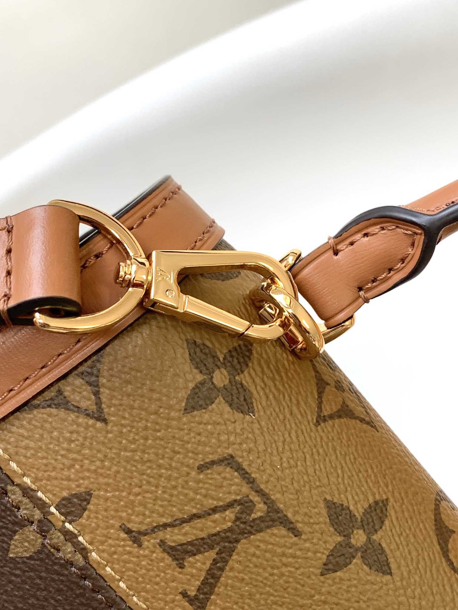 LOUIS VUITTON Dauphine Capitale Bag