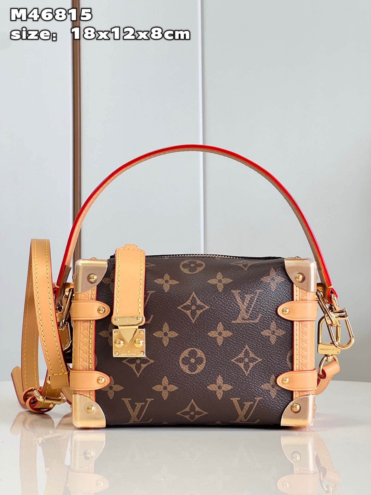 LOUIS VUITTON Side Trunk PM Bag