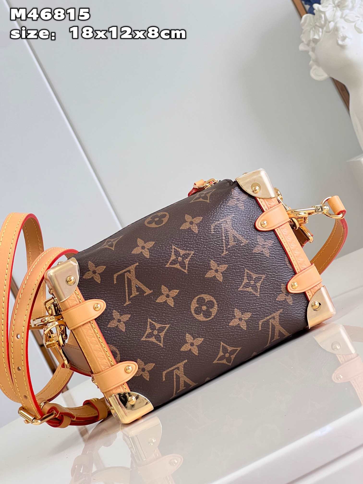 LOUIS VUITTON Side Trunk PM Bag