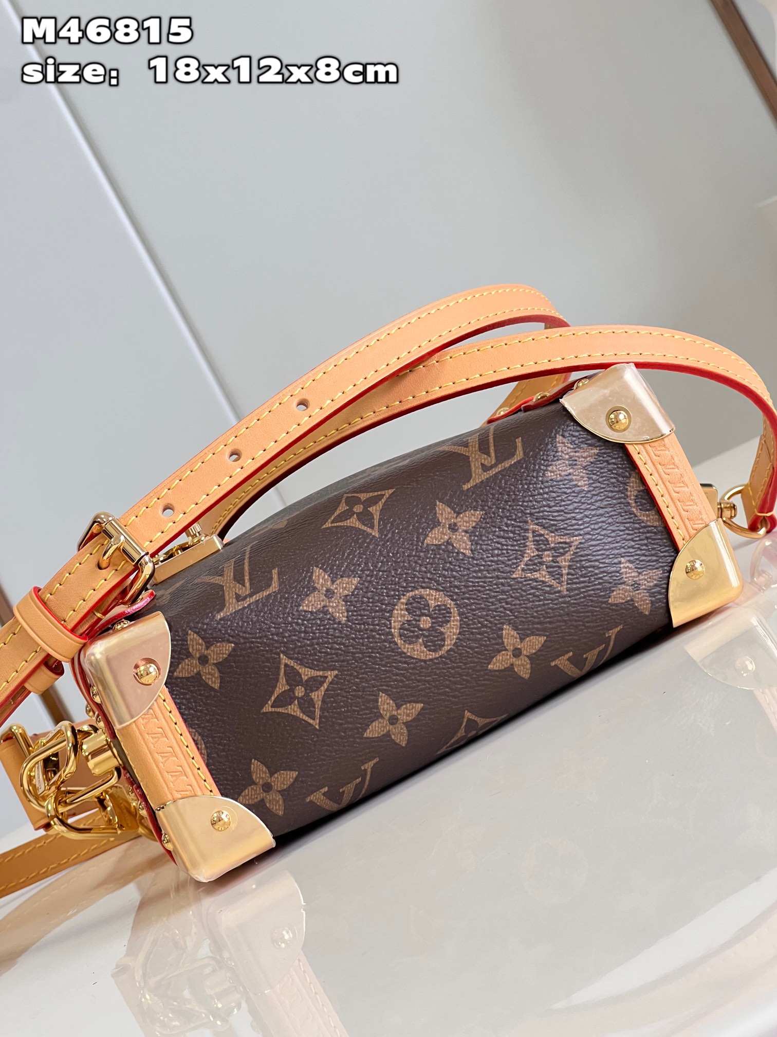 LOUIS VUITTON Side Trunk PM Bag