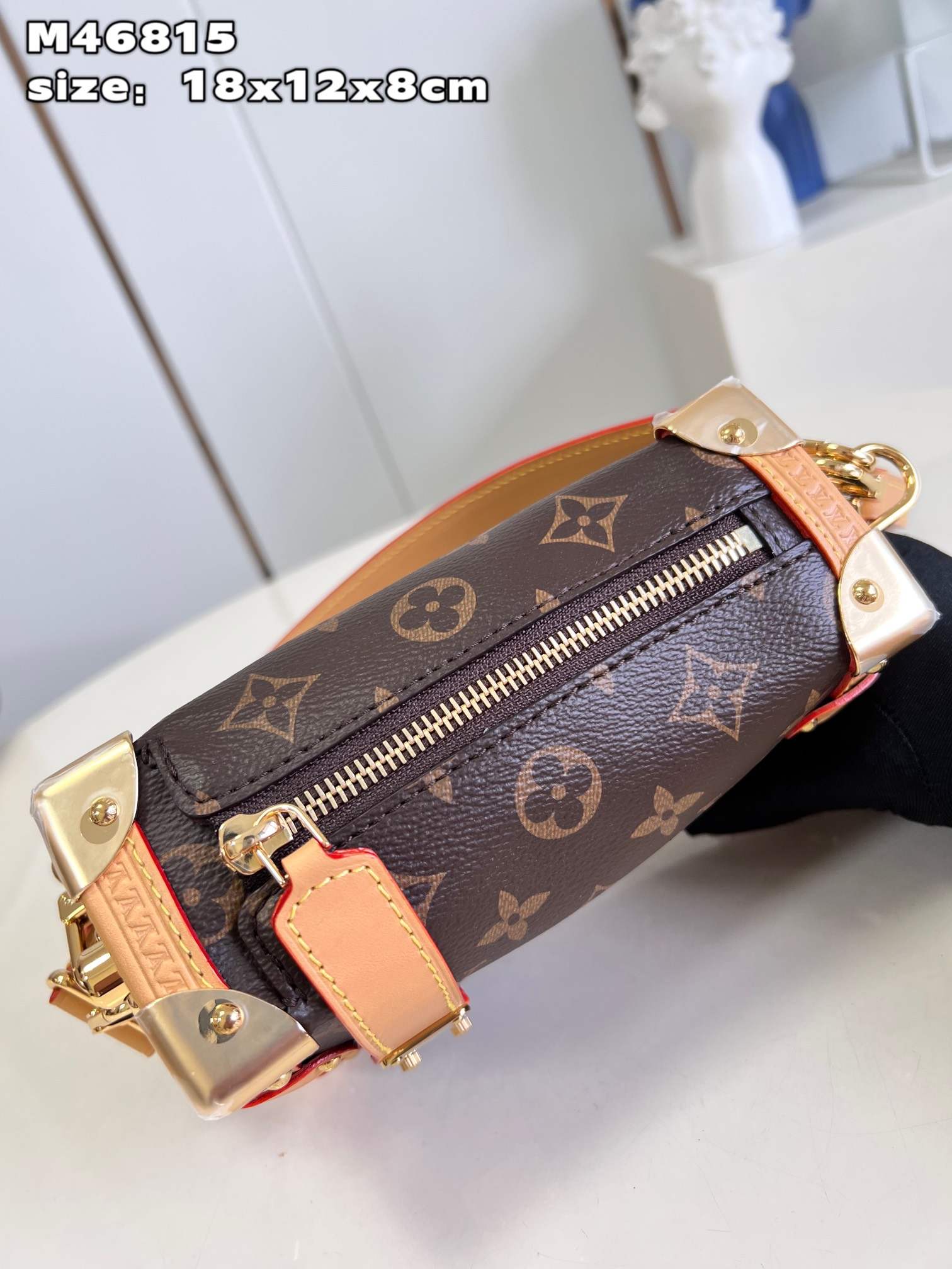 LOUIS VUITTON Side Trunk PM Bag