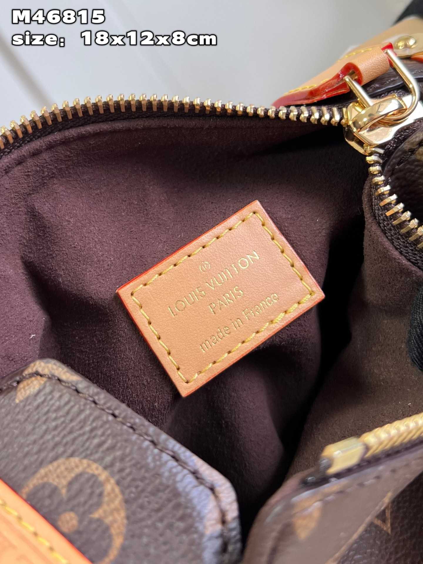 LOUIS VUITTON Side Trunk PM Bag