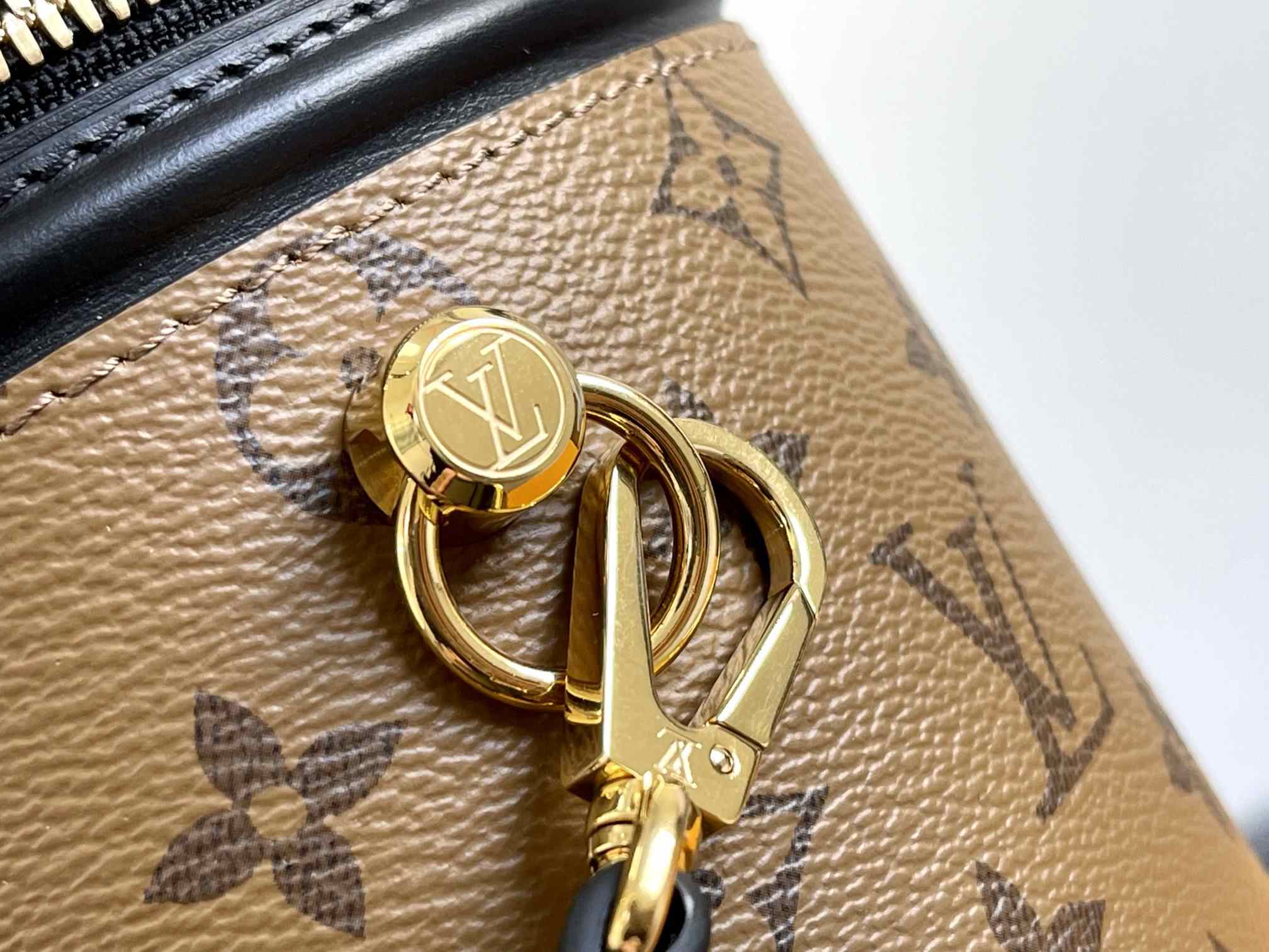 LOUIS VUITTON Cannes Bag